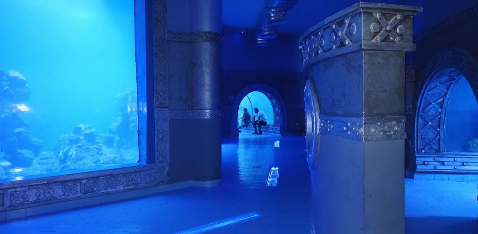 Hurghada Grand Aquarium, Kinder vor einem beleuchteten Schaubecken